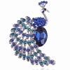 broche paon doxa avec strass bleu