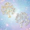 broche spirituelle lucida
