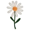 broche fleur marguerite bellis