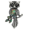 broche hibou aegis strass
